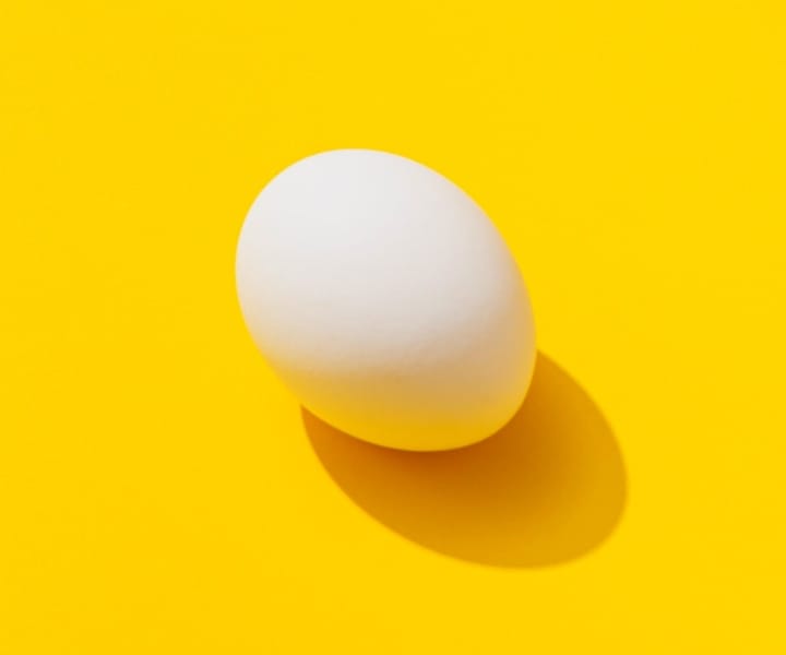 egg infront of yellow background